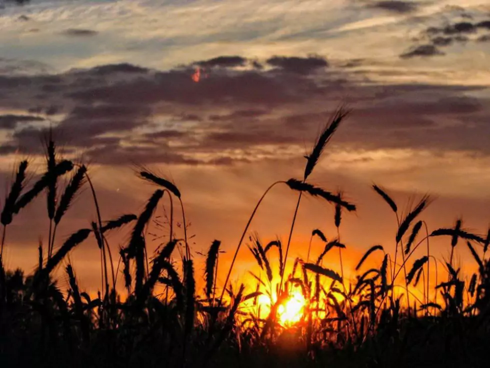 Хата з піччю біля Канева